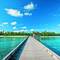 Фото отеля Palm Beach 4* 14