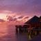 Фото отеля Coco Bodu Hithi 5* 8
