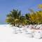 Фото отеля Meeru Island Resort 4* 1