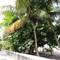Фото отеля Kuri Inn Guest House 3* 8