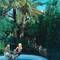 Фото отеля Palm Garden  2* 11