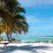 Фото отеля Fun Island 3* 14
