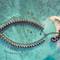 Фото отеля Sun Siyam Vilu Reef 5* 4