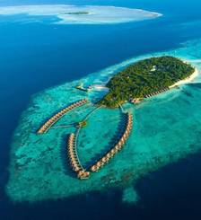 Фото отеля Ayada Maldives