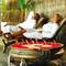 Фото отеля Diamonds Athuruga Beach & Water Villas 5* 9