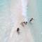 Фото отеля Ras Beach Inn 3* 7
