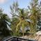 Фото отеля Ripple Beach Inn, Hulhumale 3* 9