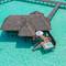 Фото отеля Conrad Maldives Rangali Island 5* 12