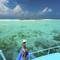 Фото отеля aaaVeee Nature's Paradise 4* 5
