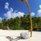 Фото отеля aaaVeee Nature's Paradise 4* 7