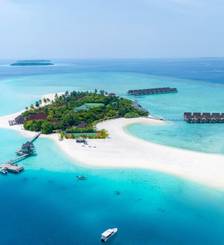 Фото отеля Dhigufaru Island Resort