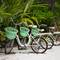 Фото отеля Tropical Village  8