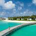 Фото 44 отеля LUX* North Male Atoll 5