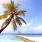 Фото отеля Nakai Dhiggiri Resort 4* 7