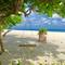 Фото отеля Ithaa Inn Kamadhoo  3