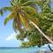Фото отеля Blue World Dharavandhoo  1