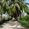 Фото отеля Athiriveli 3* 8