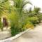 Фото отеля Sunrise Inn 4* 13