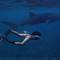 Фото отеля White Sand Dhigurah 3* 4