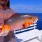 Фото отеля Luau Beach Inn Maldives 3* 14