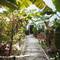 Фото отеля Perla Dhangethi 4* 6