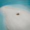 Фото отеля Island Serenity  1