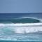 Фото отеля The Maverick Surf & Dive Lodge  10