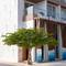 Фото отеля Stone Beach Club Dhiffushi 3* 8