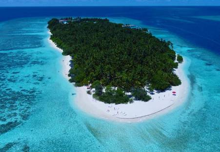 Фото отеля Thari Fushi Maldives 3*